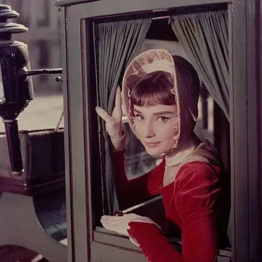 6686体育中级作者九命猫