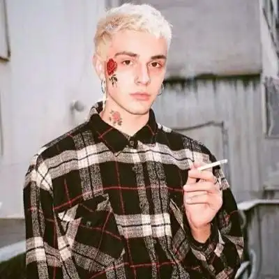 6686体育初级作者Vega